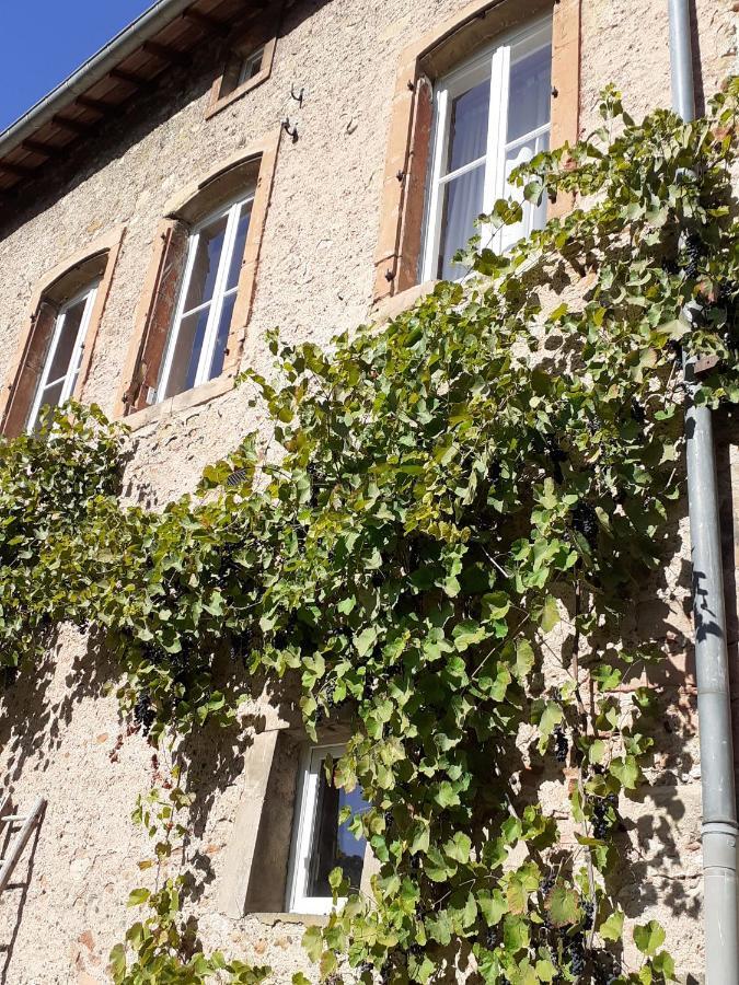 La Grange Aux Oiseaux Apartment Arnaville Exterior foto